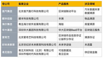 首批區(qū)塊鏈信息服務(wù)備案名單公布，京東、愛(ài)奇藝等互聯(lián)網(wǎng)巨頭積極布局